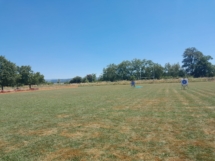 IMG-20250628-WA0003